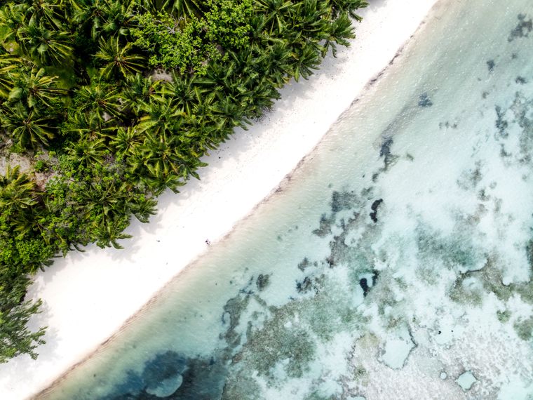 natucate-travel-volunteering-seychelles-platte-island-beach-birdview