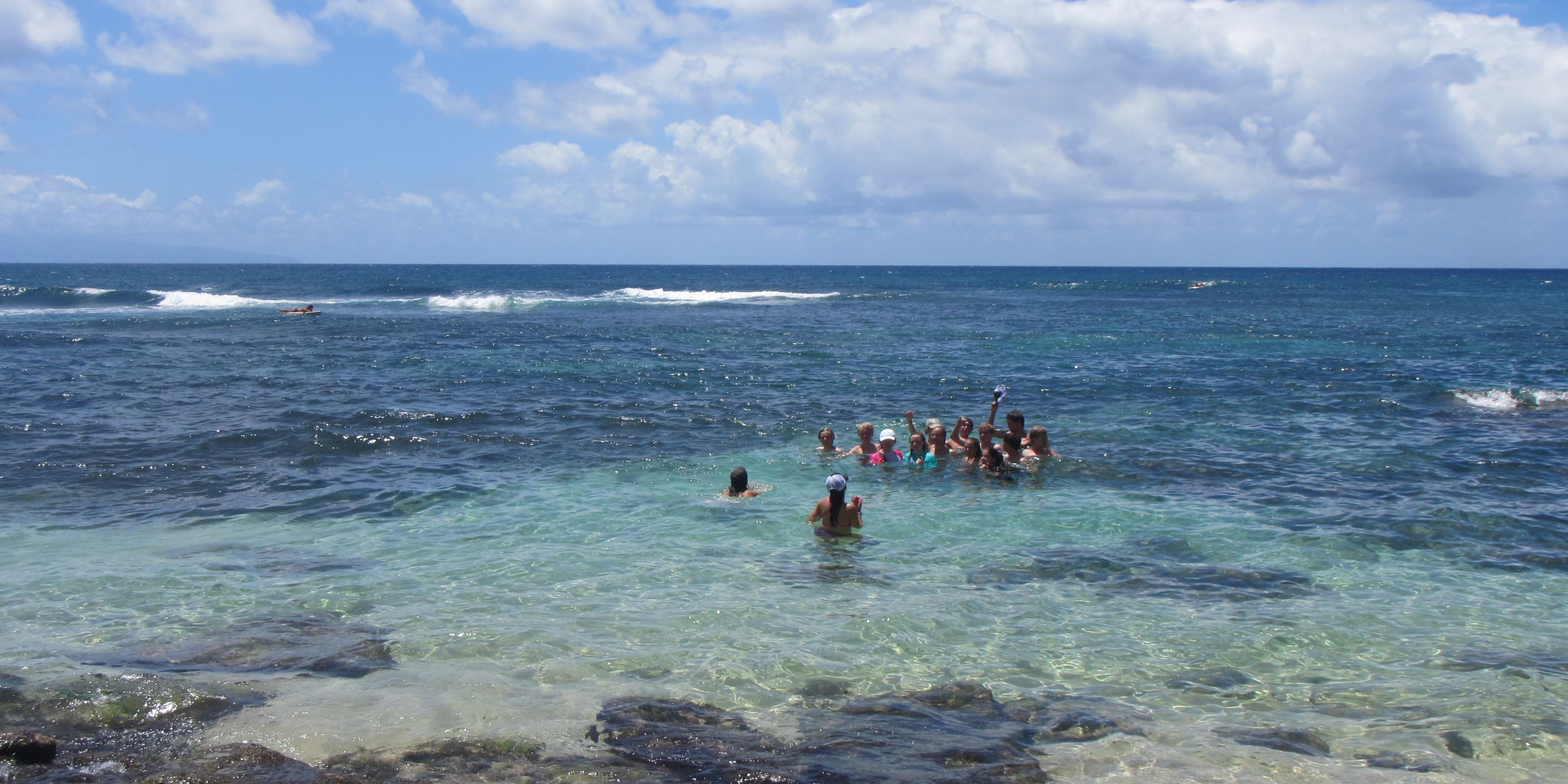 Volunteers dedicate themselves to consveration tasks off the Hawaiian coast