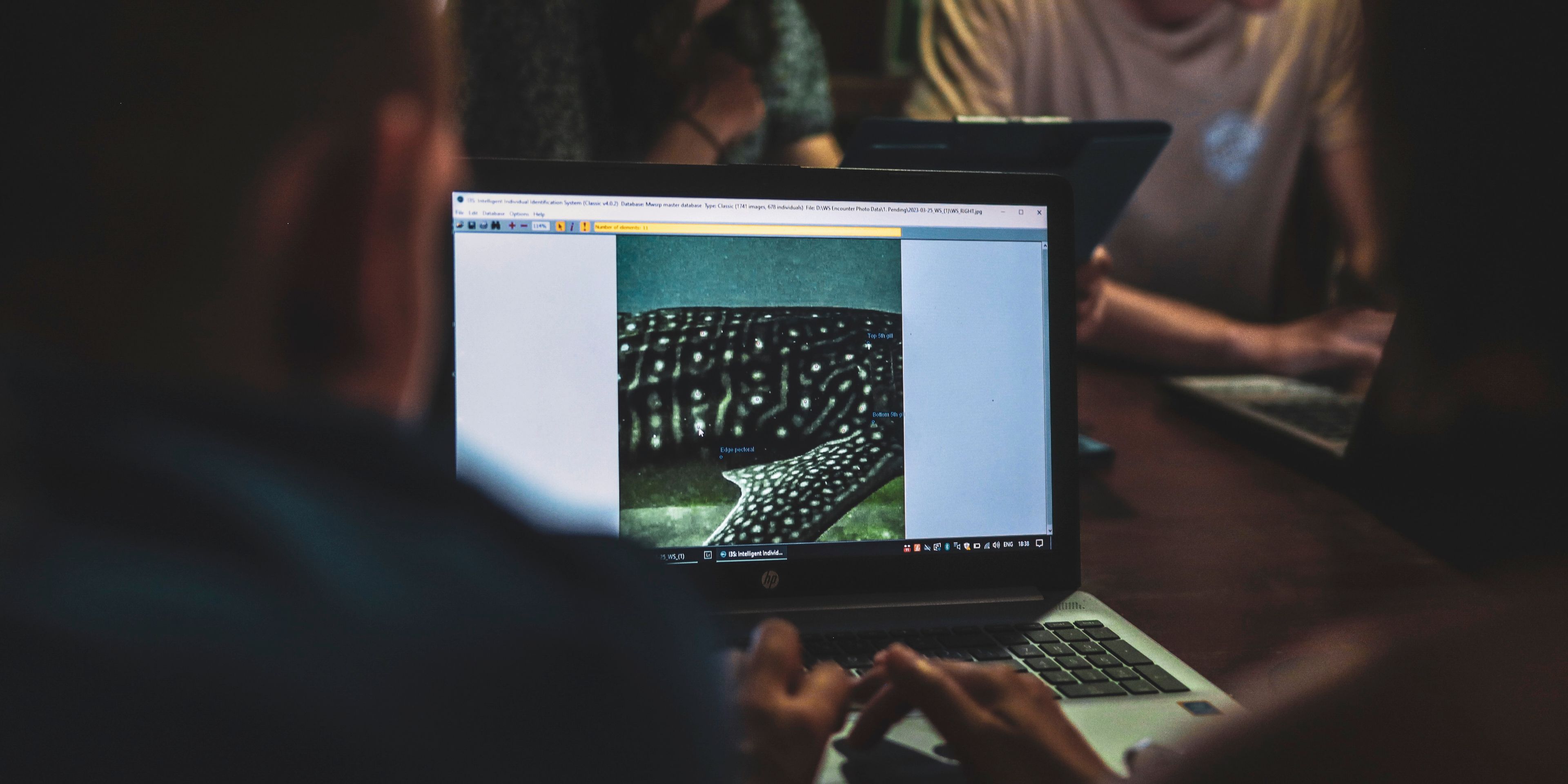 natucate-pwe-maldives-date-collection-computercredit-theo