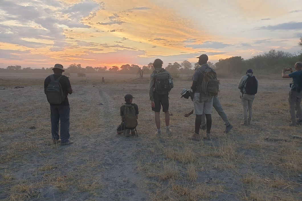 natucate-camp-kwapa-2024-afternoon-walk