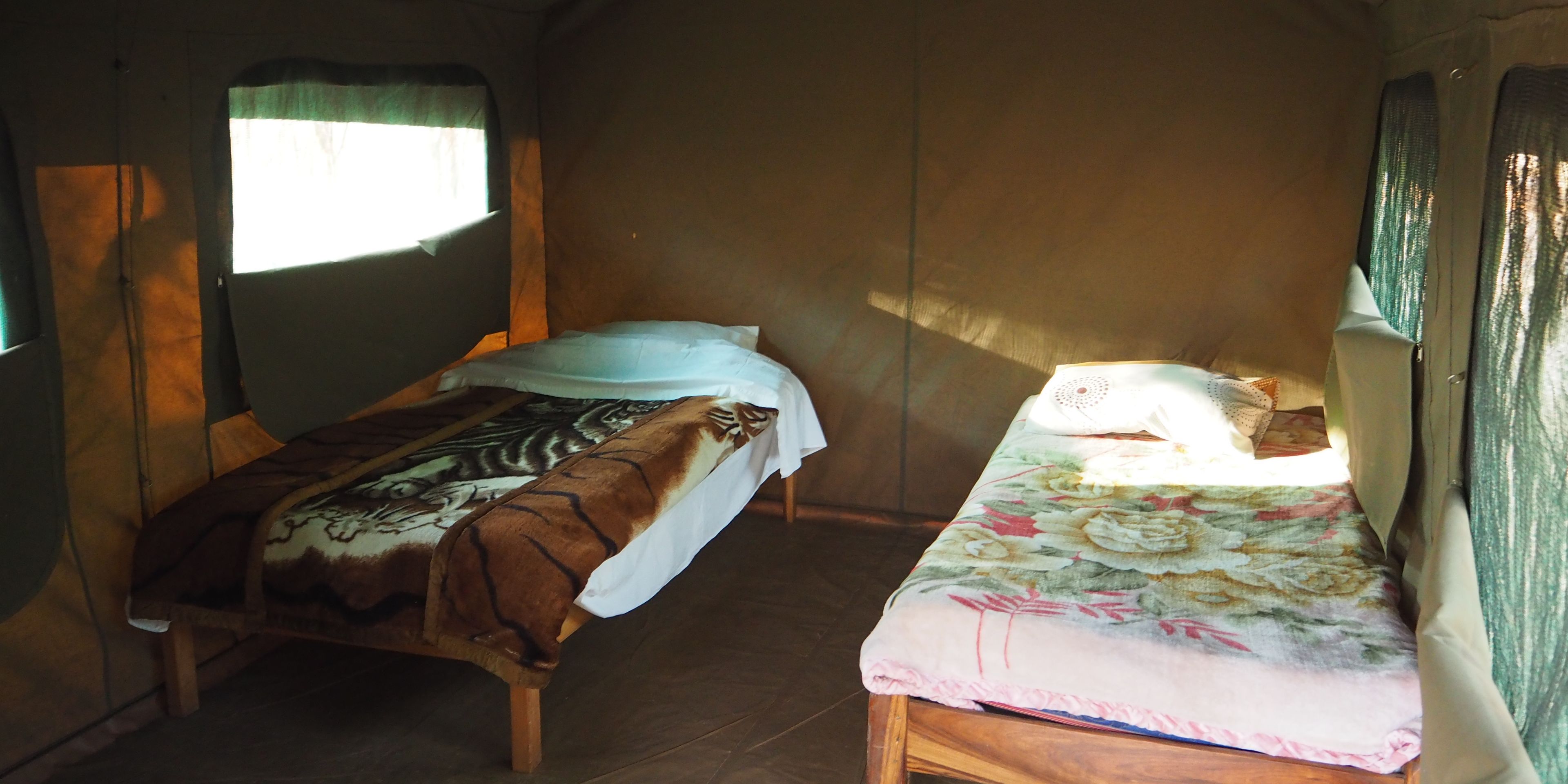 Inside of volunteer tents in the elephant project near Lusaka