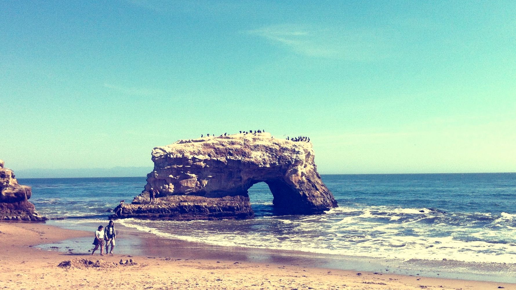 freiwilligenarbeit-usa-kalifornien-erfahrungsbericht-naturschutz-strand-natucate