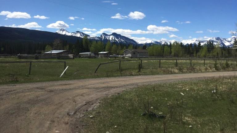 erfahrungsbericht-freiwilligenarbeit-kanada-alberta-pferdeschutz-anna-farm-natucate