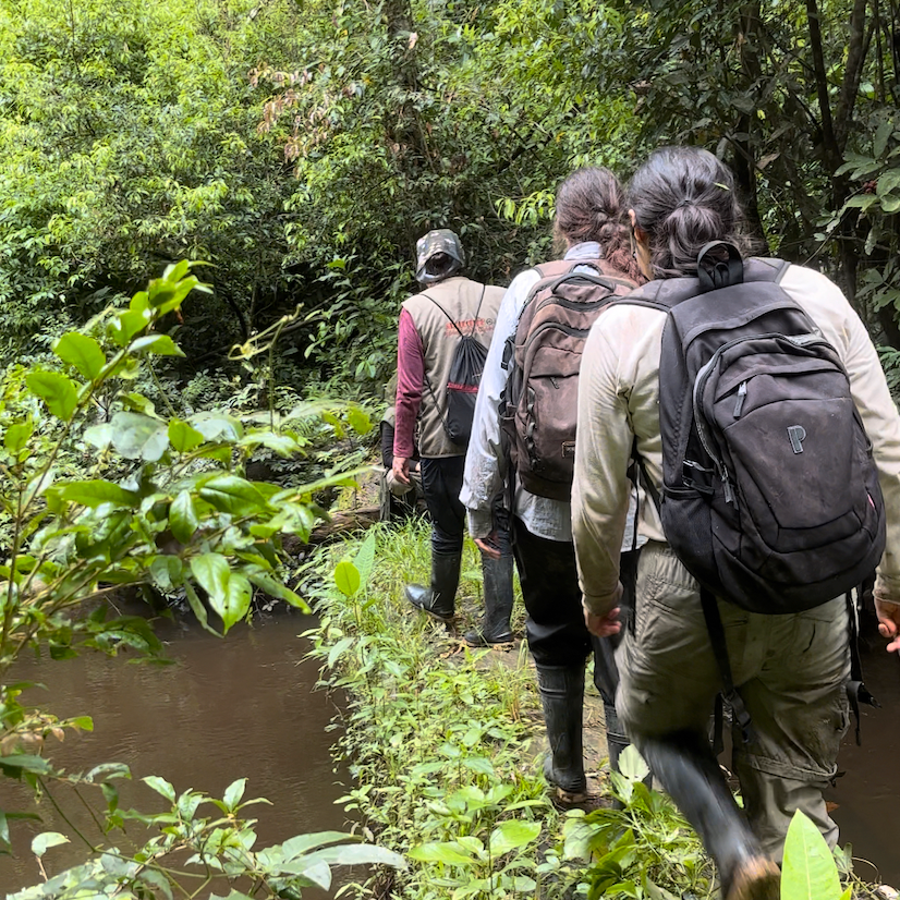 erfahrungsberichte-freiwilligendienst-peru-sina-group-walking-natucate