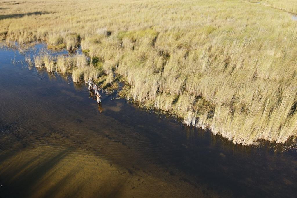 safari-botswana-delta-delights-okavango-walking-tour-aerial