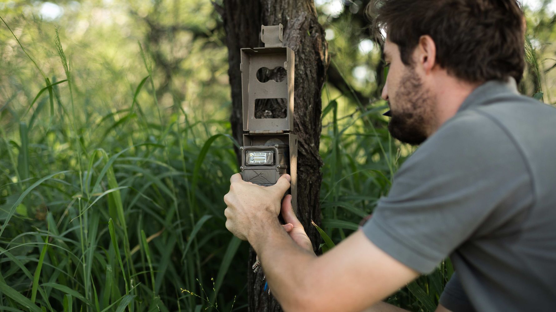 landingpage-conservation-safaris-kamerafalle-natucate