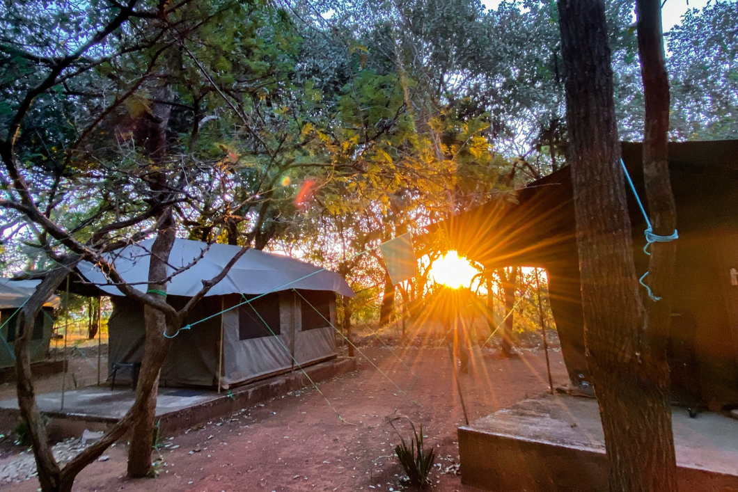 natucate-volunteer-sambia-lusaka-camp-tent