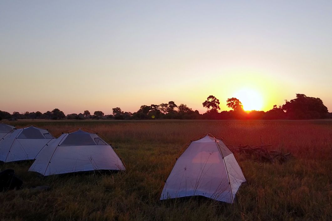 naturkurs-botswana-track-and-trail-wilderness-camp-delta-natucate