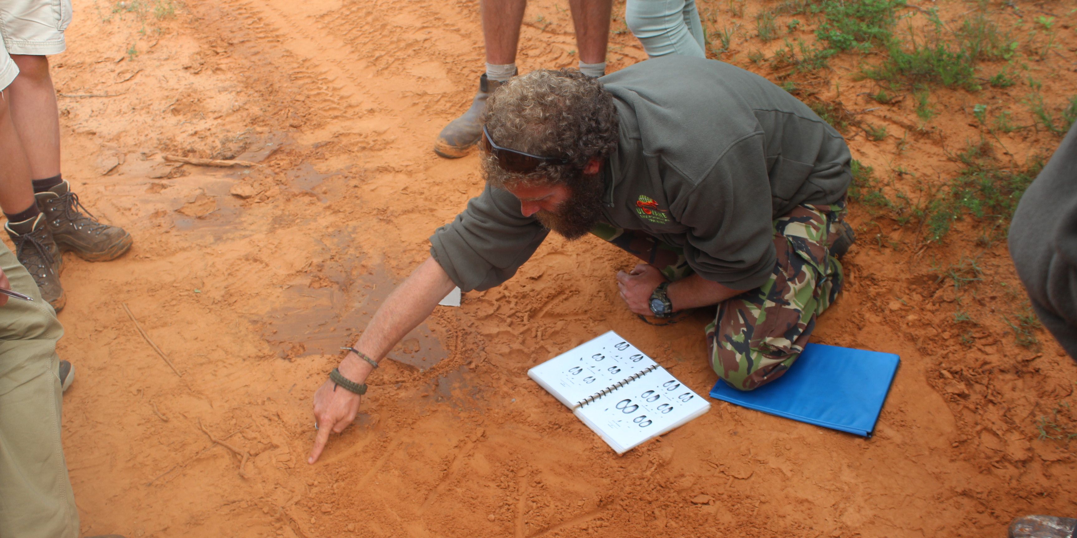 Ein Kursleiter des Trails Guide-Training in Suedafrika anaylisiert mit seinen Studenten frisch entdeckte Tierspuren in der Savanne