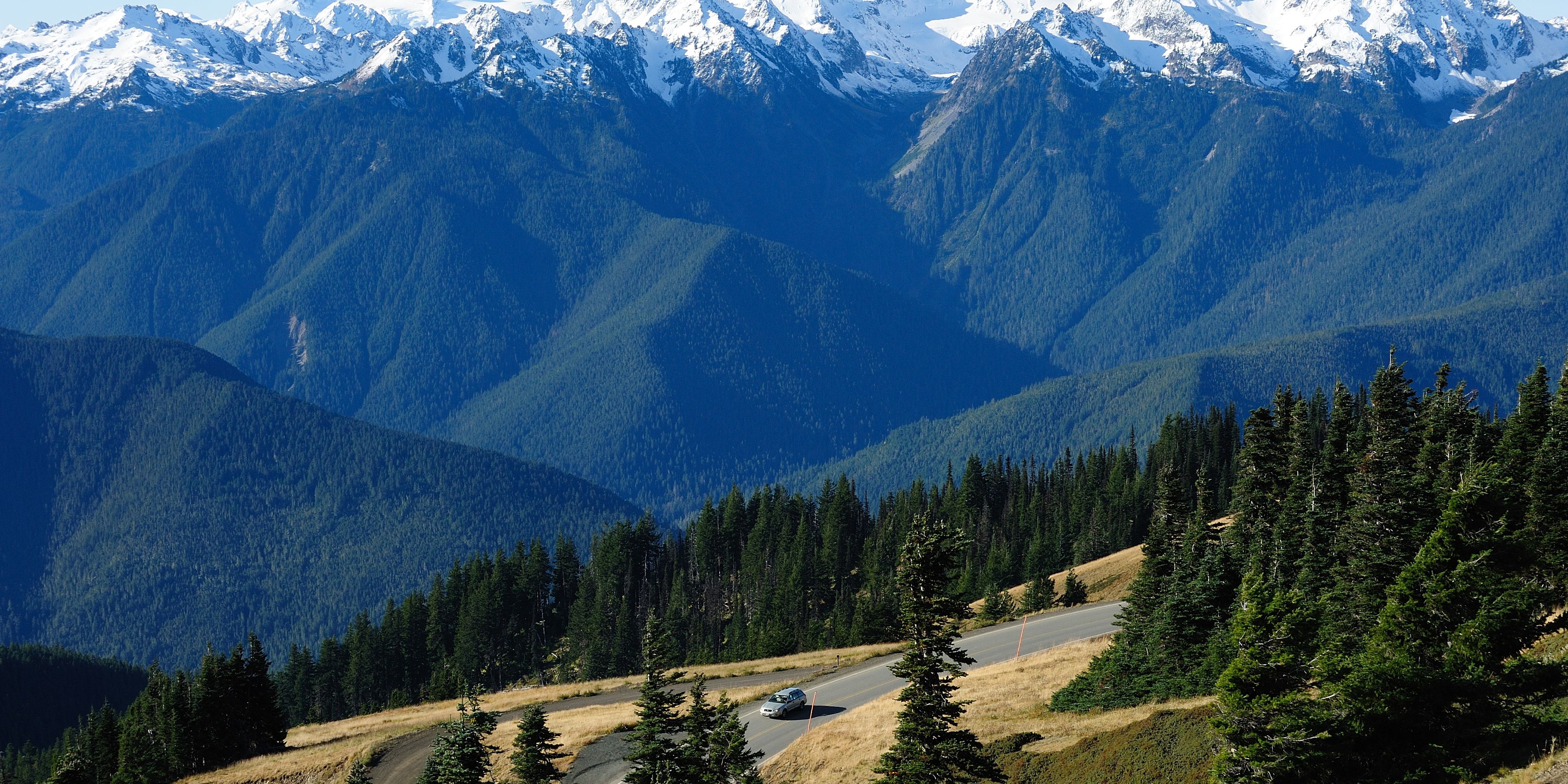 Ein riesiger Wald der die Berghaenge eines grossen Gebirges bedeckt