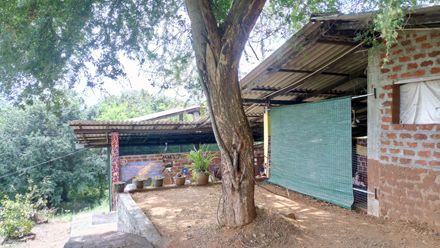 freiwilligenarbeit-sri-lanka