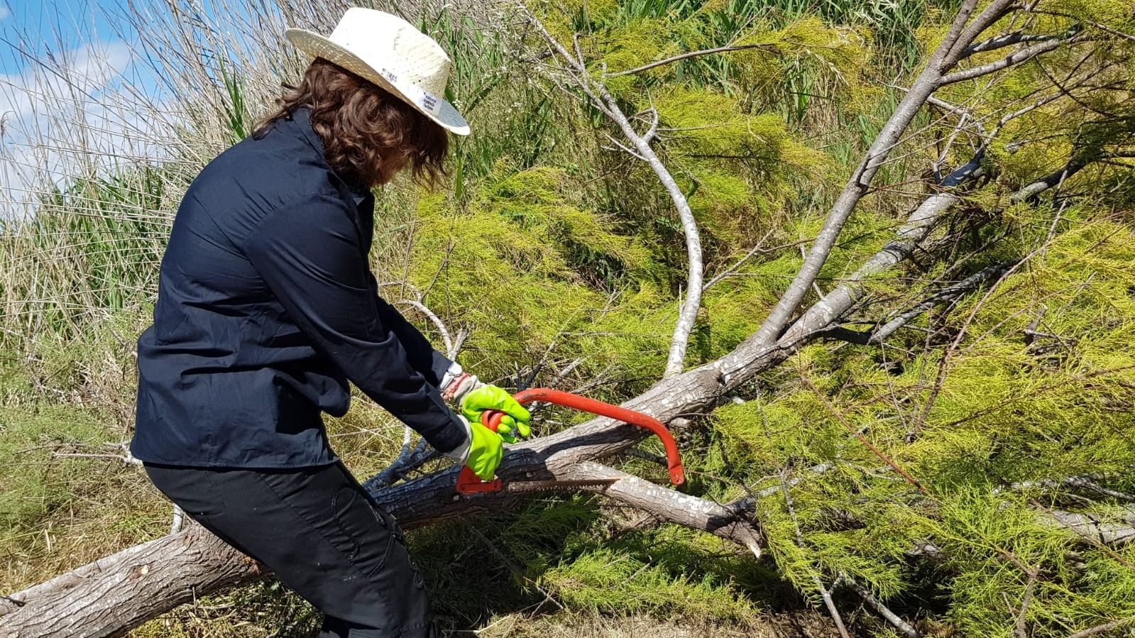 freiwilligenarbeit-spanien-erfahrungsbericht-arbeit-naturschutz-natucate