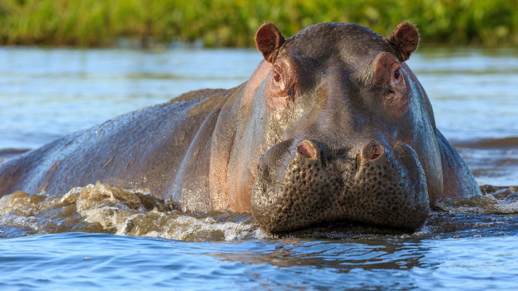 malawi-country-information-liwonde-nationalpark