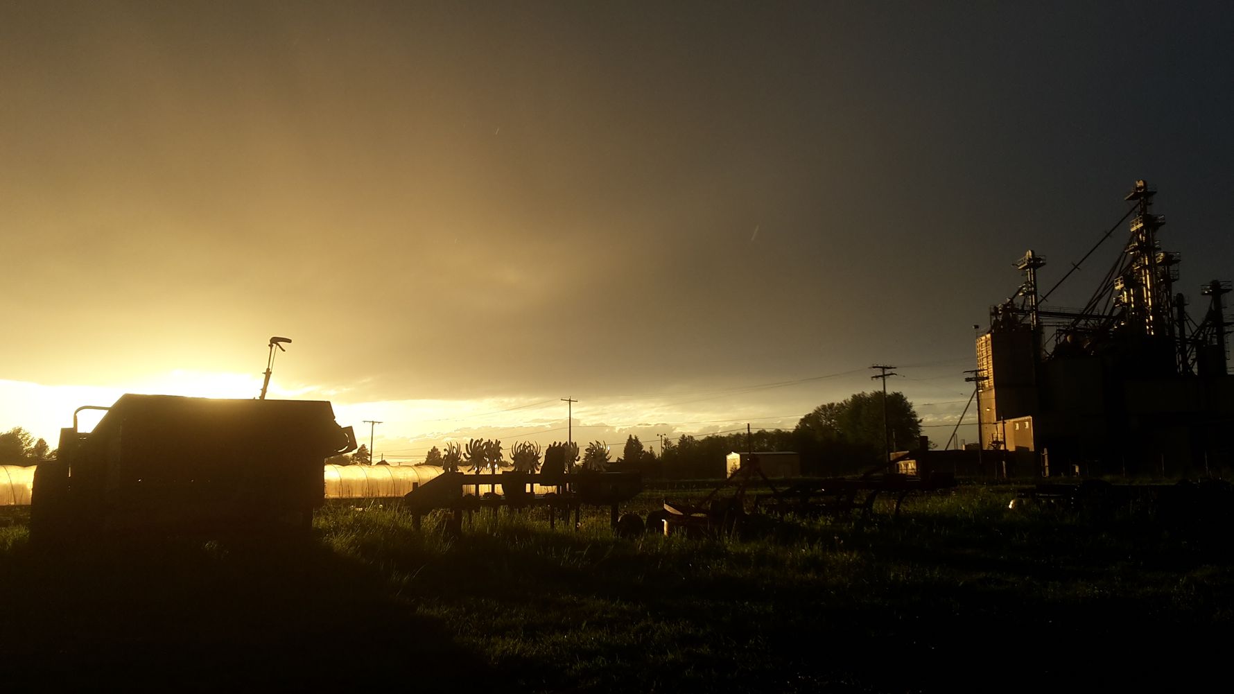 erfahrungsbericht-praktikum-usa-landwirtschaft-natucate