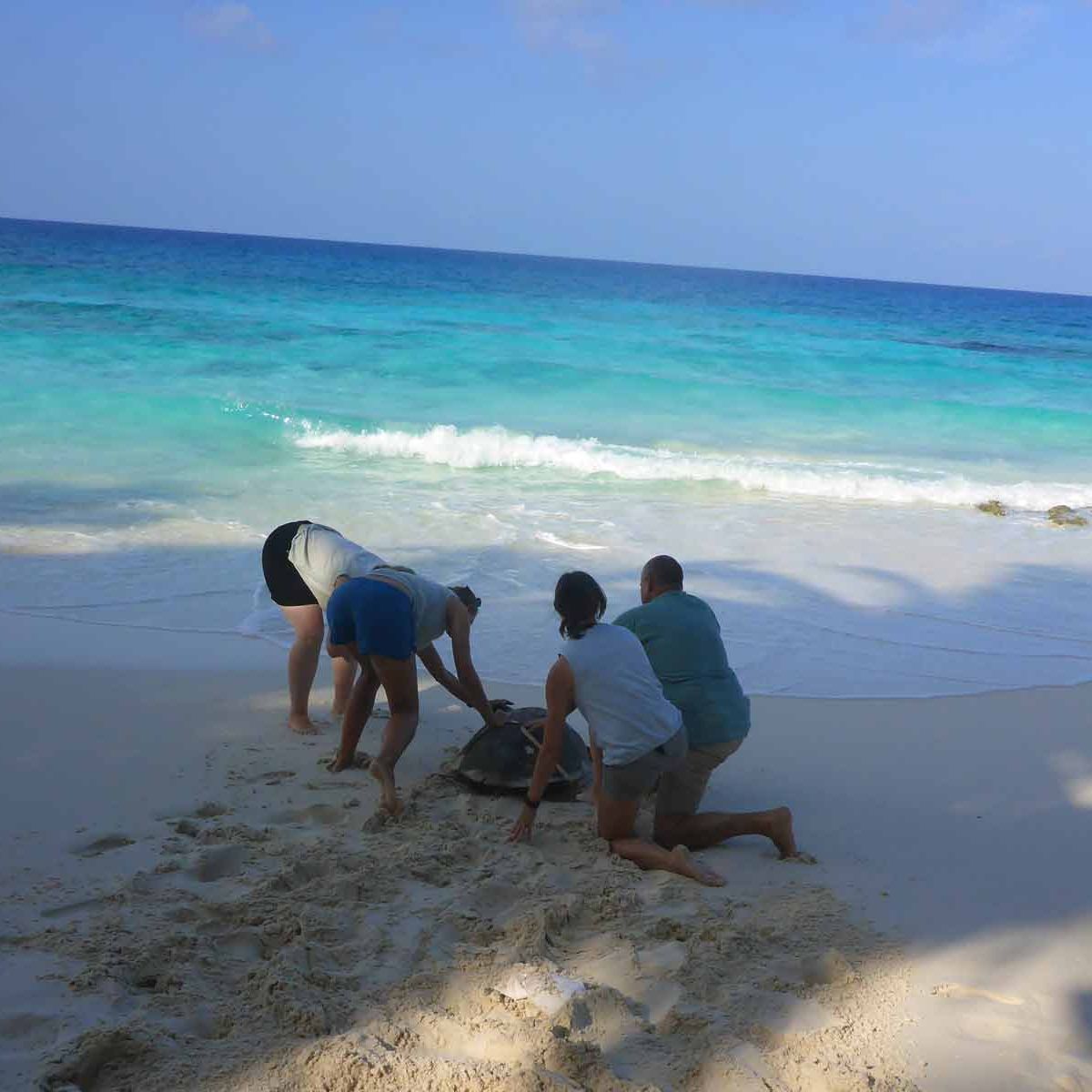 freiwilligenarbeit-seychellen-erfahrungsbericht-artenschutz-kundenfotos-meer-natucate