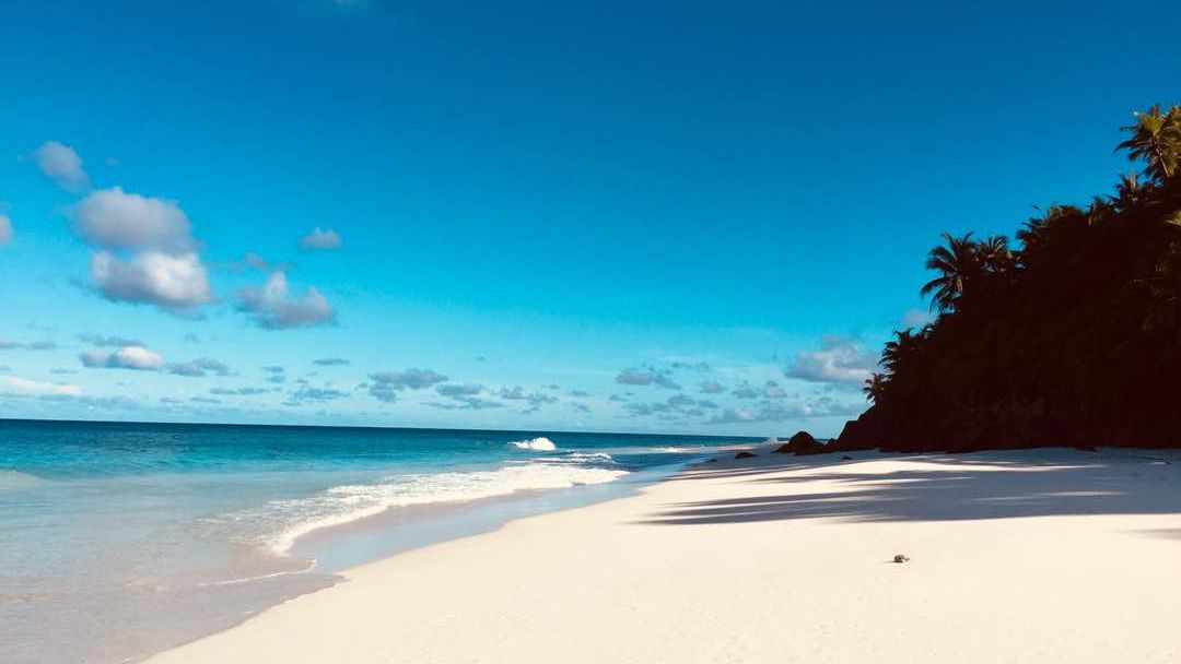 freiwilligenarbeit-seychellen-erfahrungsbericht-artenschutz-kundenfotos-meer-natucate