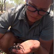 erfahrungsberichte-suedliches-afrika-pfg-rangerausbildung-kundenfotos-spinne-natucate
