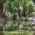 volunteering-malawi-sanctuary-lilongwe-nature