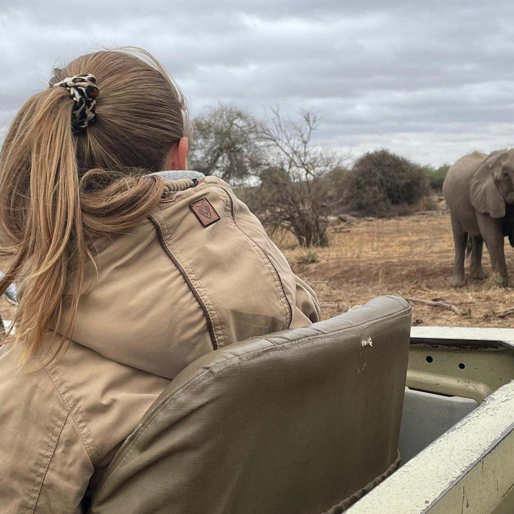 erfahrungsbericht-suedliches-afrika-professional-field-guide-rangerausbildung-natucate-vivien-elefanten-in-mashatu