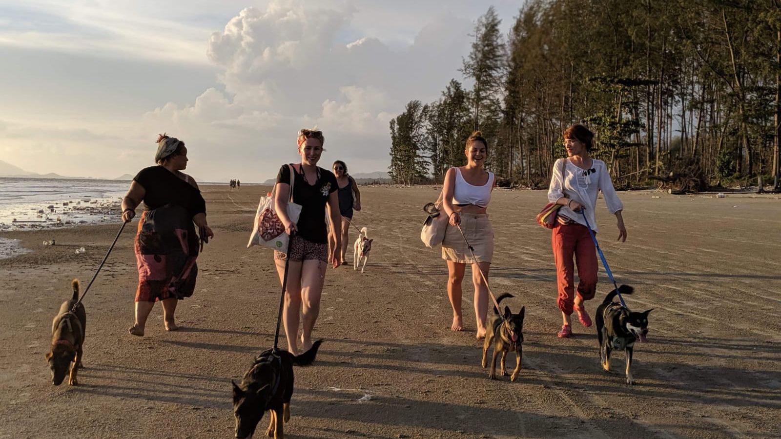 erfahrungsberichte-freiwilligenarbeit-thailand-latifa-hunde-freiwillige-strand