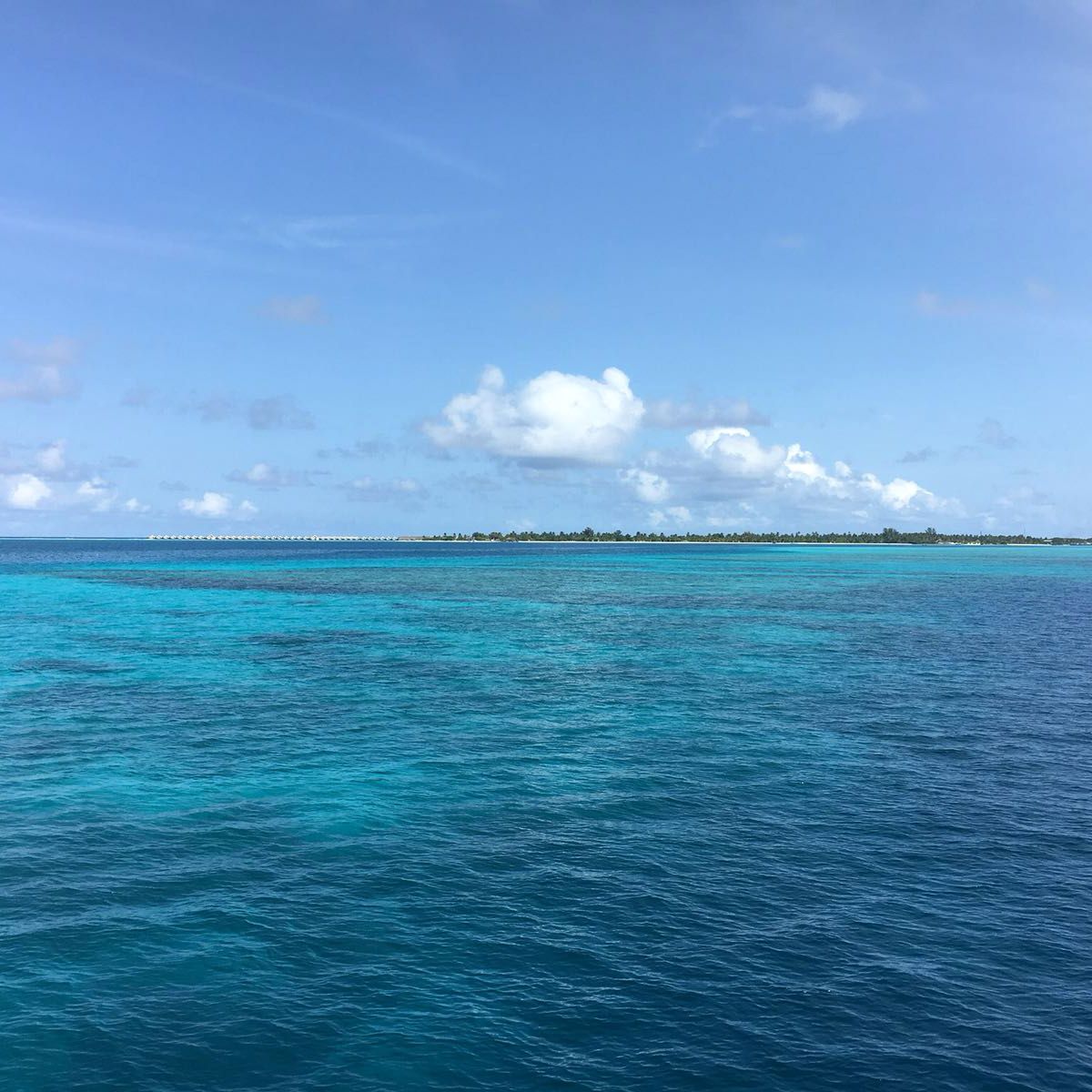 Walhaischutz auf den Malediven: Blick auf eine Insel der Malediven im Indischen Ozean