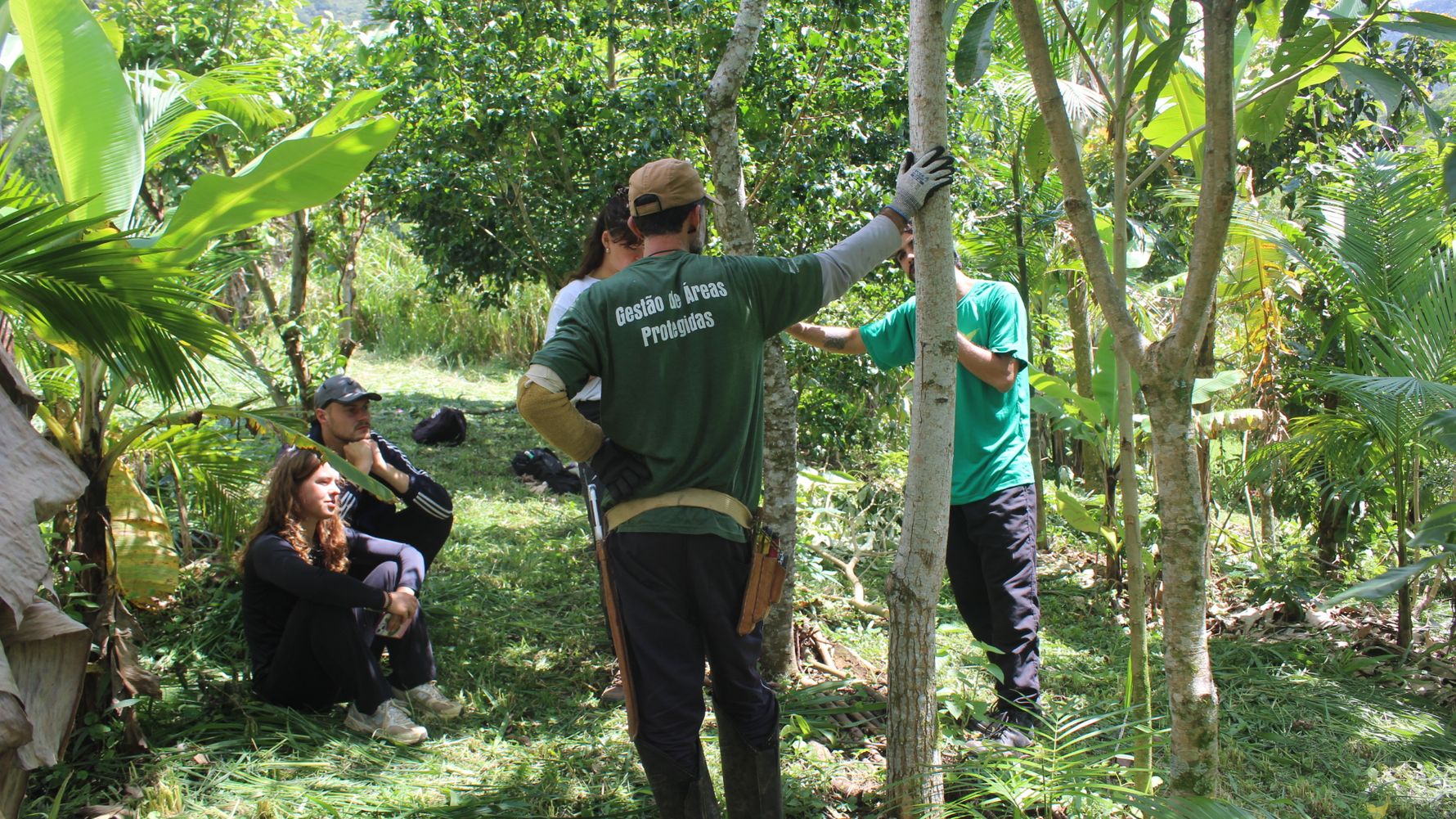 natucate-landingpage-citizen-science-brazi-research-forest-break