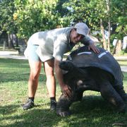 erfahrungsberichte-sabbatical-australien-afrika-naturschutz-silvia-landschildkroete-natucate