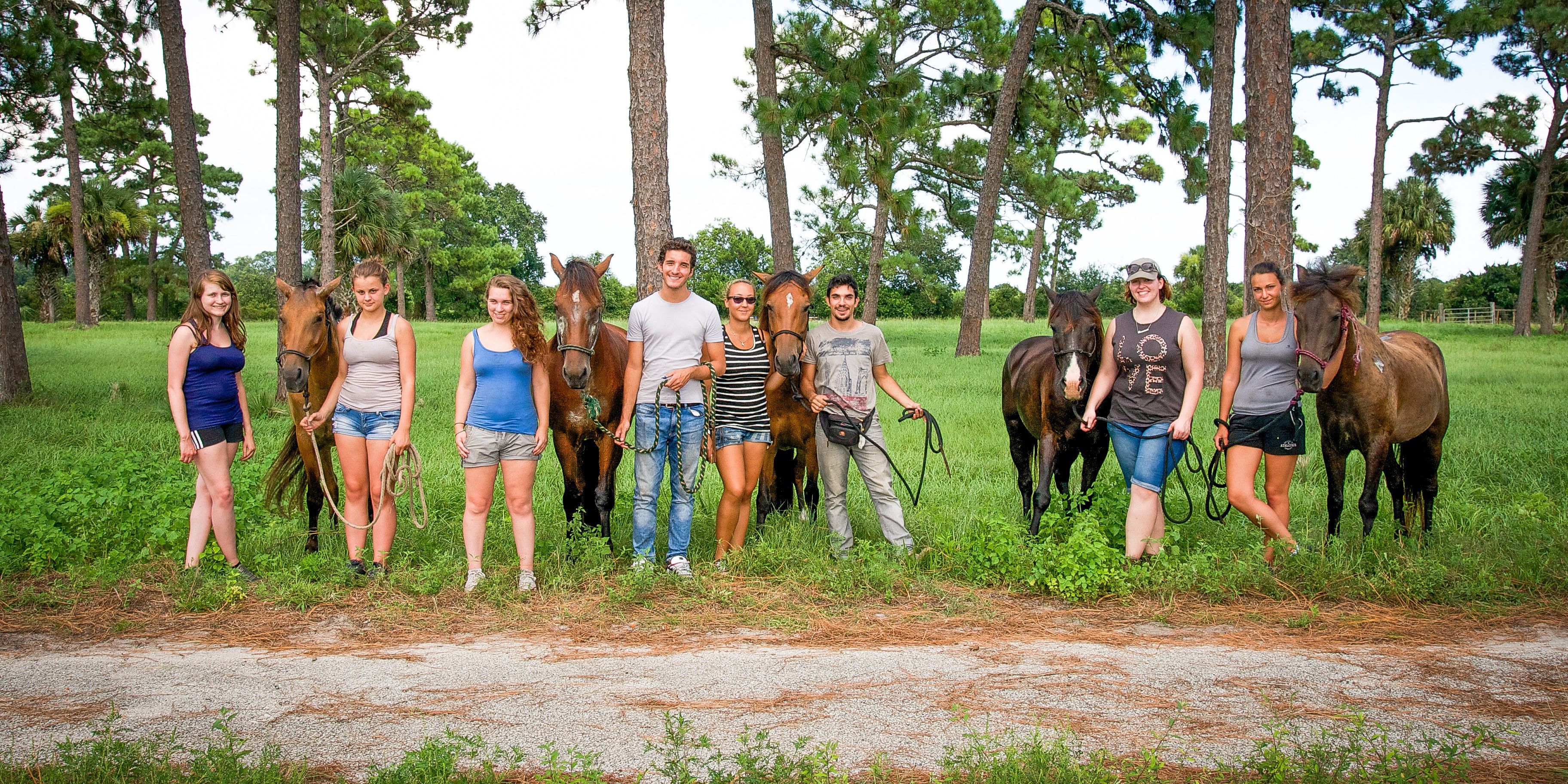 freiwilligenarbeit-usa-florida-tierschutz-volunteers-pferde-natucate