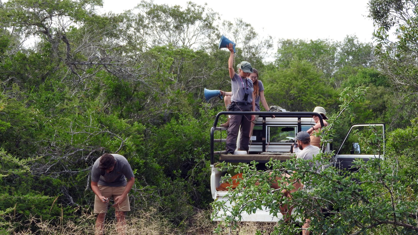 landingpage-conservation-safaris-suedafrika-wildlifeschutz-trainingskurs-natucate