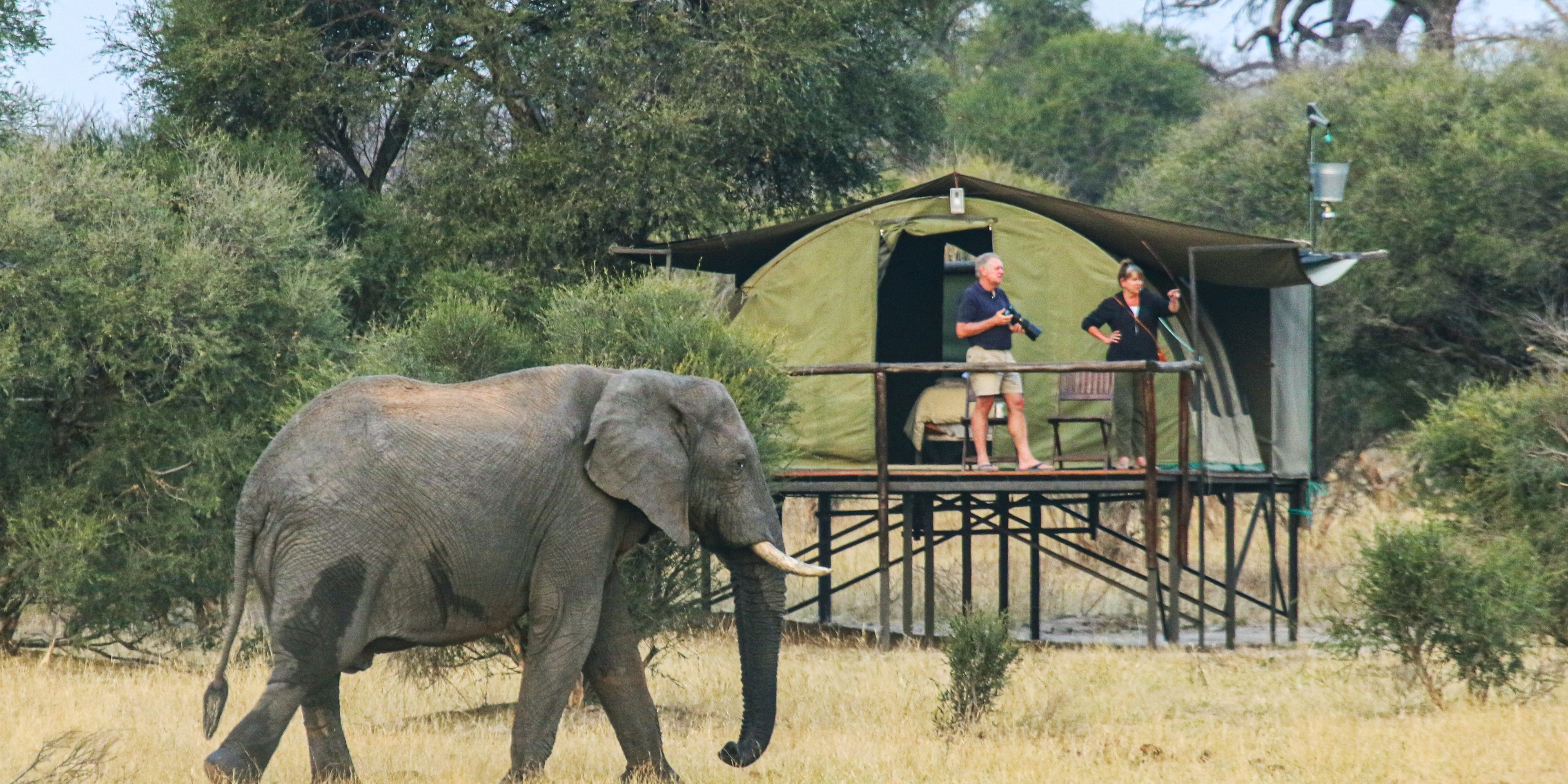 natucate-simbabwe-private-wilderness-experience-camp-verandah