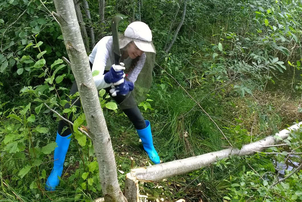 Naturschutz-Volunteer bei der Arbeit im Freiwilligenprojekt in Estland