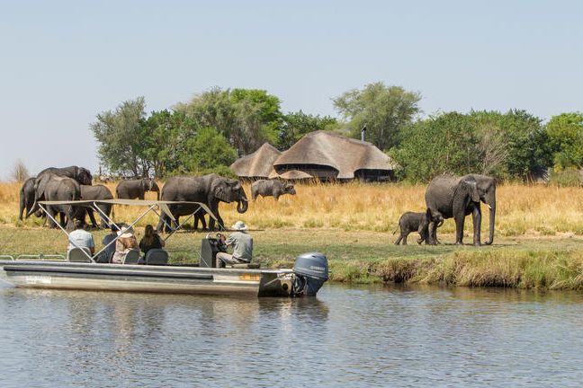 safari-botswana-bliss-deluxe-chobe-savannah-lodge