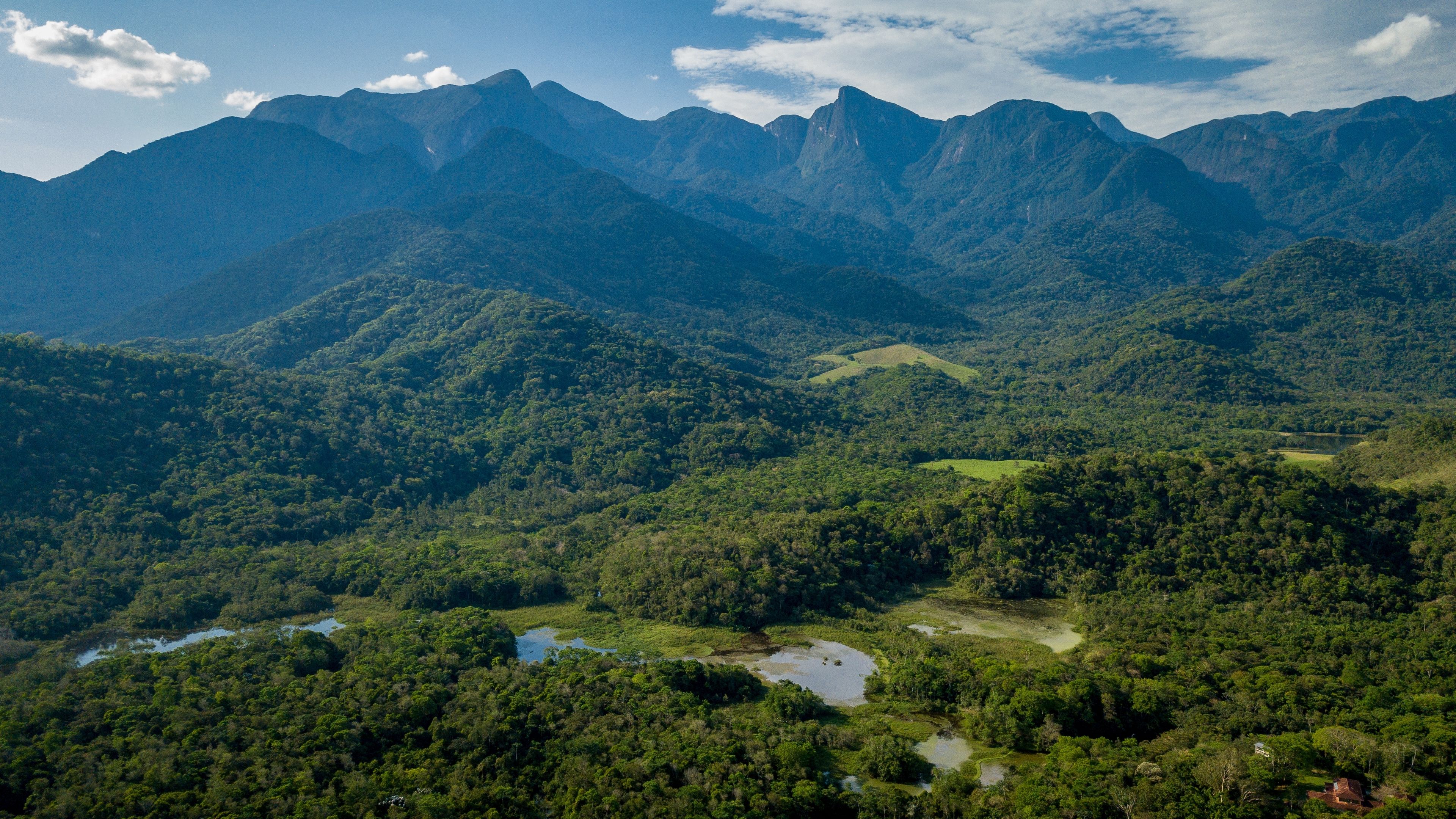 freiwilligenarbeit-brasilien-waldschutz-natucate