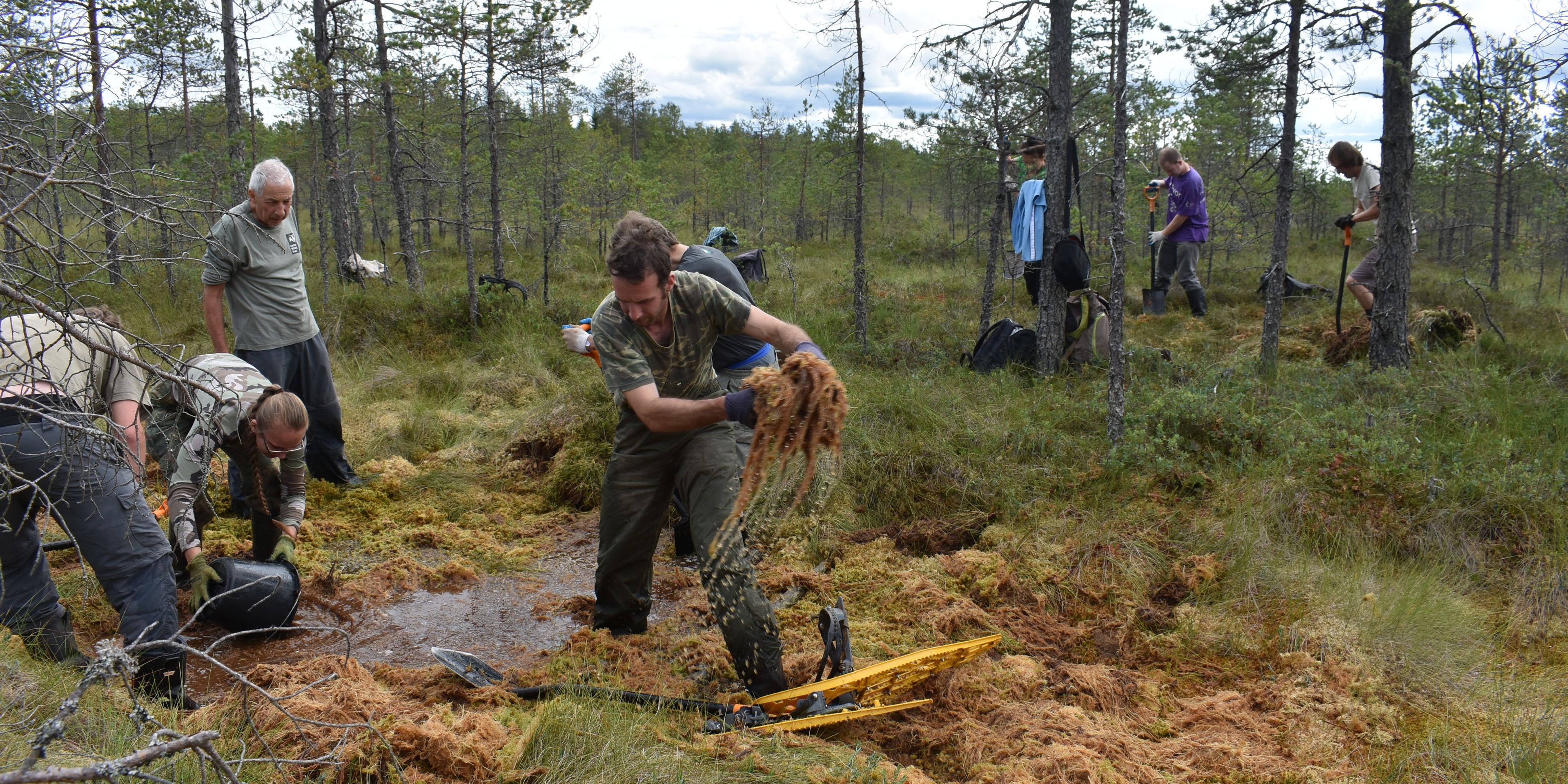 Volunteers des Naturschutzprojekts in Estland entfernen Vegetation