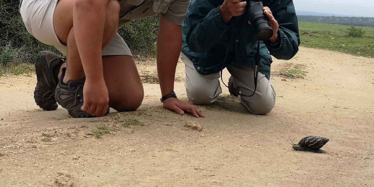 Zwei Field Guide-Studenten in Suedafrikas Amakhala Game Reserve hocken auf der Erde und fotografieren eine vorbeikriechende Schnecke