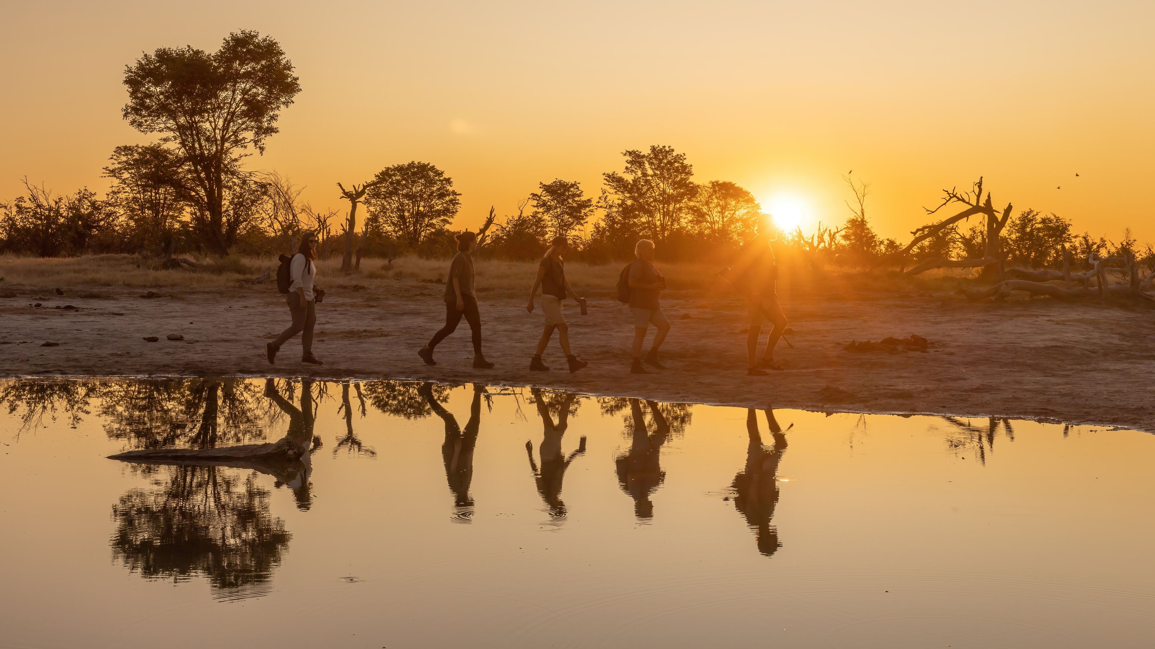 Bush Walk during sunset in Botswana