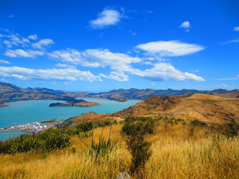 erfahrungsberichte-freiwilligenarbeit-naturschutz-neuseeland-lea-see-himmel