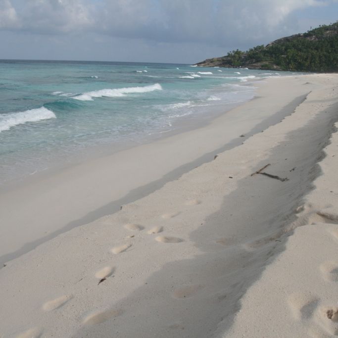 freiwilligenarbeit-seychellen-erfahrungsbericht-artenschutz-kundenfotos-strand-natucate