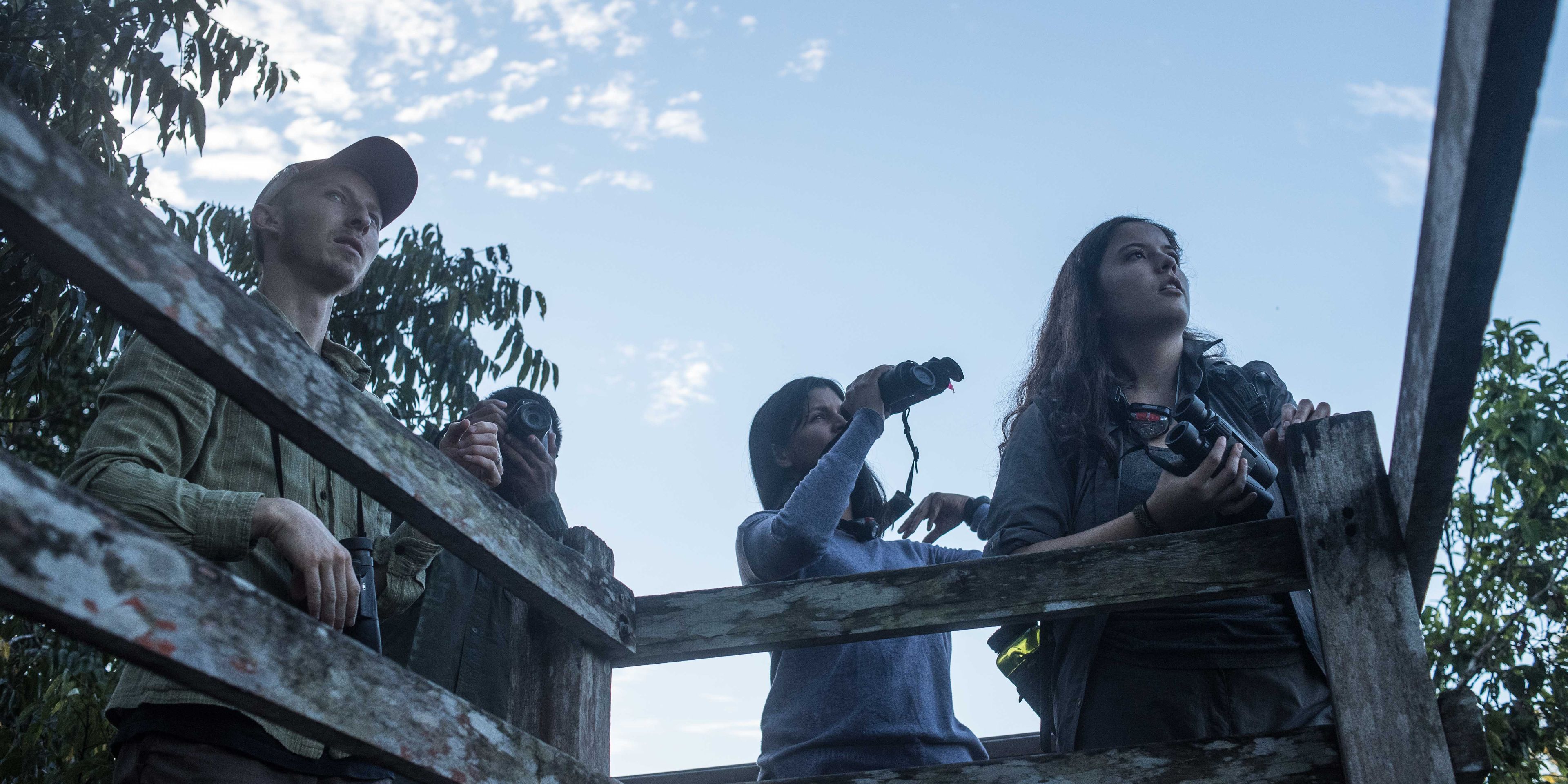 Die Teilnehmer versuchen sich von einem Holzplateau einen Ueberblick zu verschaffen