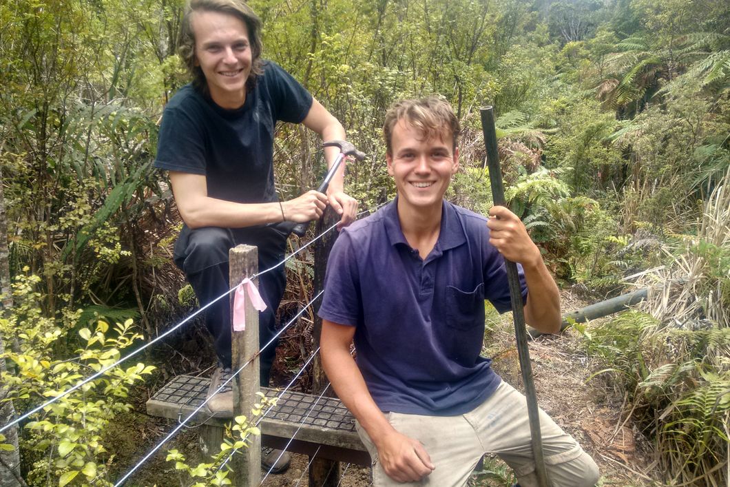 Zwei Volunteers unseres Naturschutzprojekts an Neuseelands Kauri Kueste bei Arbeiten im Regenwald