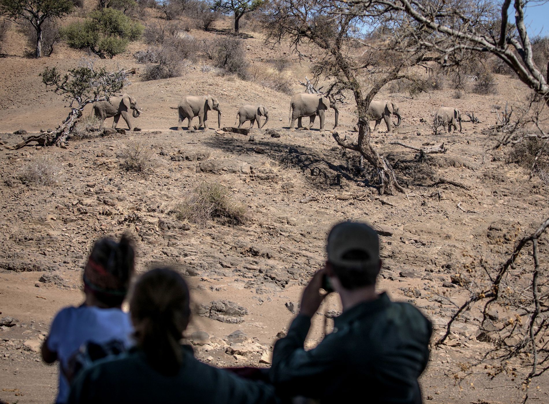Field Guide Training Courses in Africa ⋅ Natucate