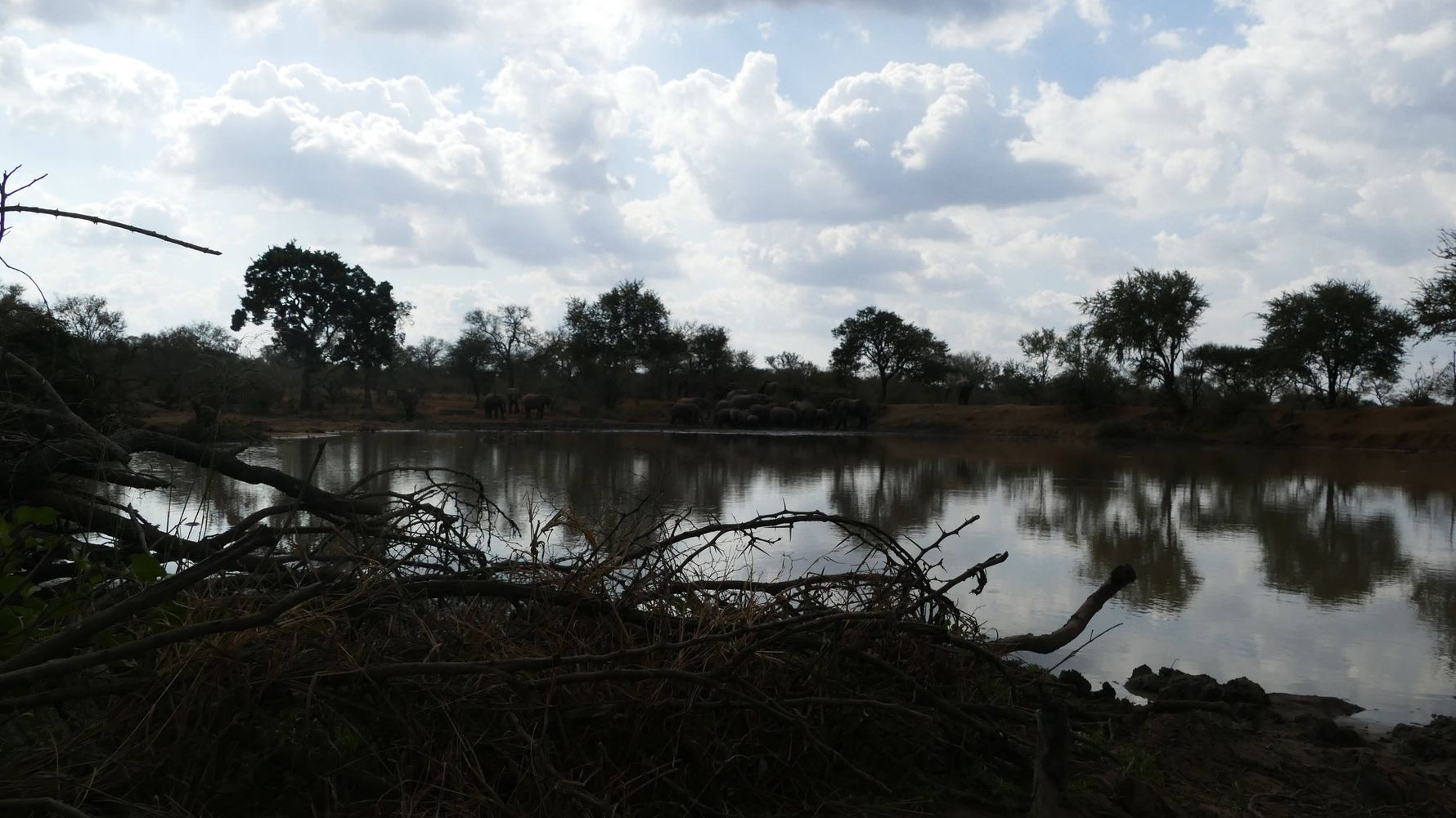 erfahrungsberichte-rangerkurse-suedafrika-trails-guide-carina-wasserloch-natucate