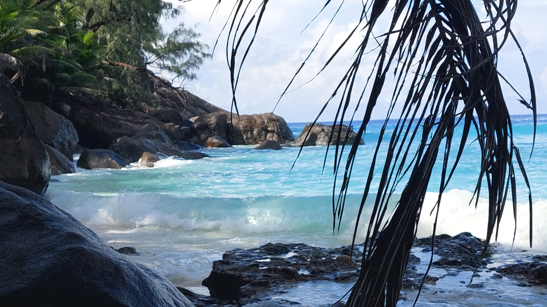 natucate-erfahrungsbericht-seychellen-north-island-sybille-strand-wasser