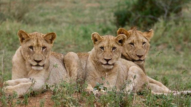 erfahrungsberichte-freiwilligenarbeit-suedafrika-zululand-marianne-loewen-natucate
