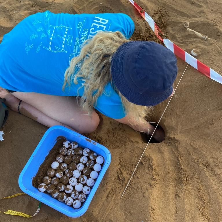 erfahrungsberichte-freiwilligendienst-griechenland-milena-nester-natucate