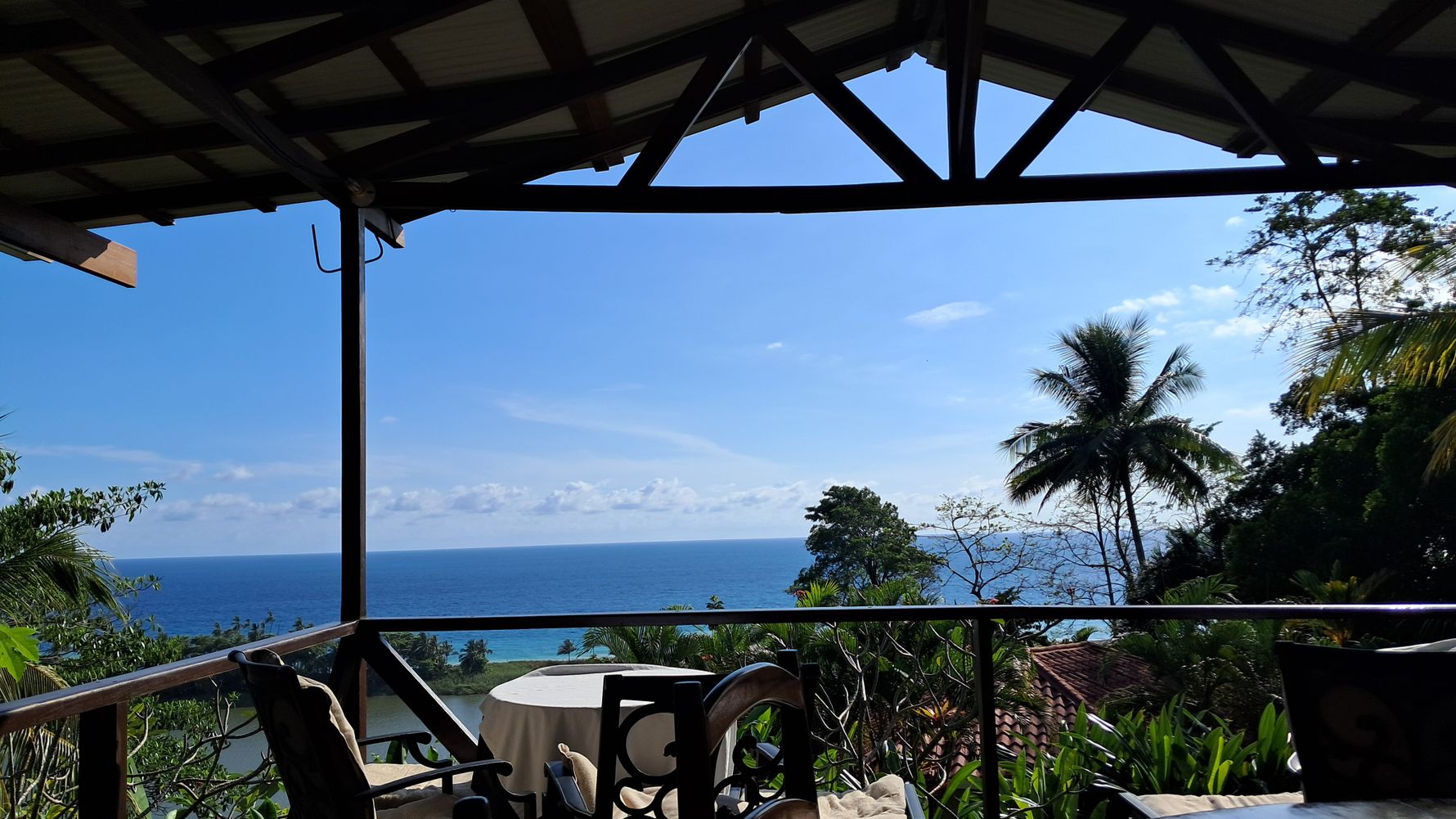 natucate-review-costa-rica-turtle-amelie-ocean-view