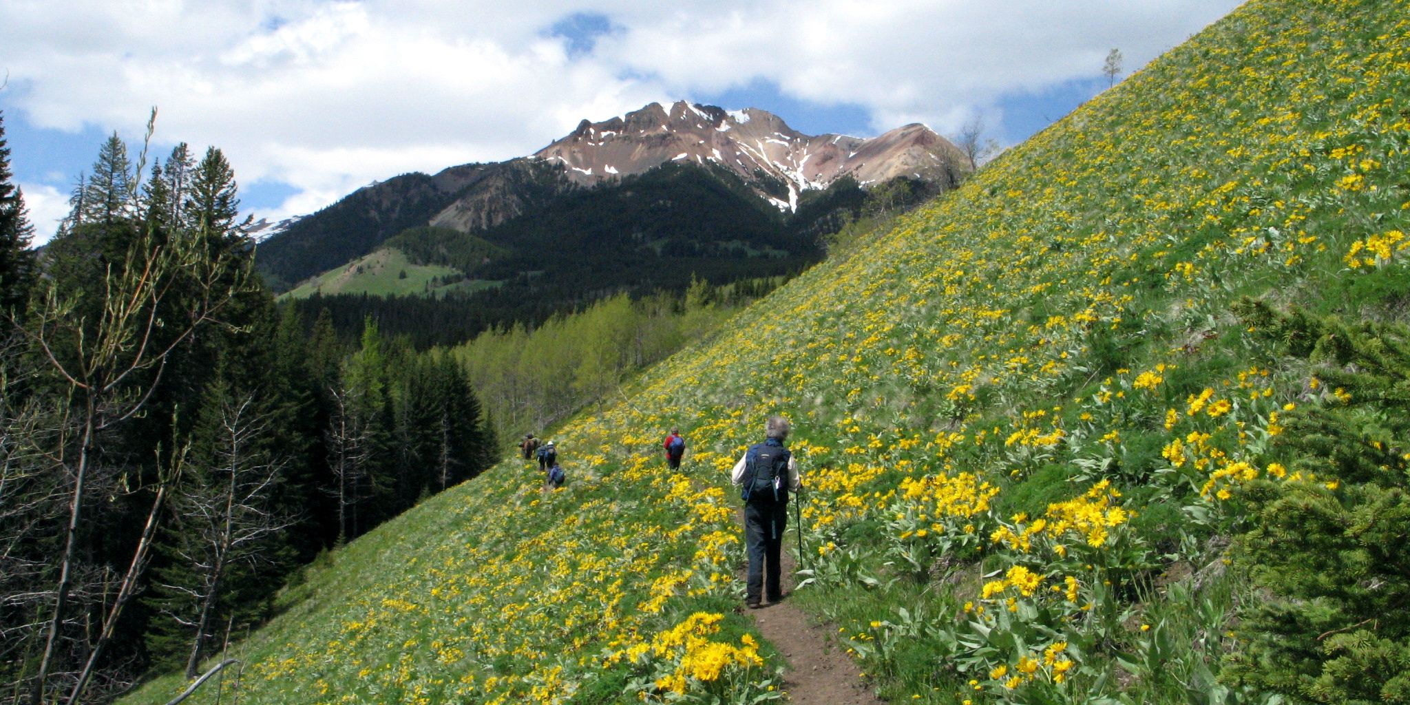 Wanderung von Studenten durch die kanadische Landschaft waehrend eines Ueberlebenstrainings