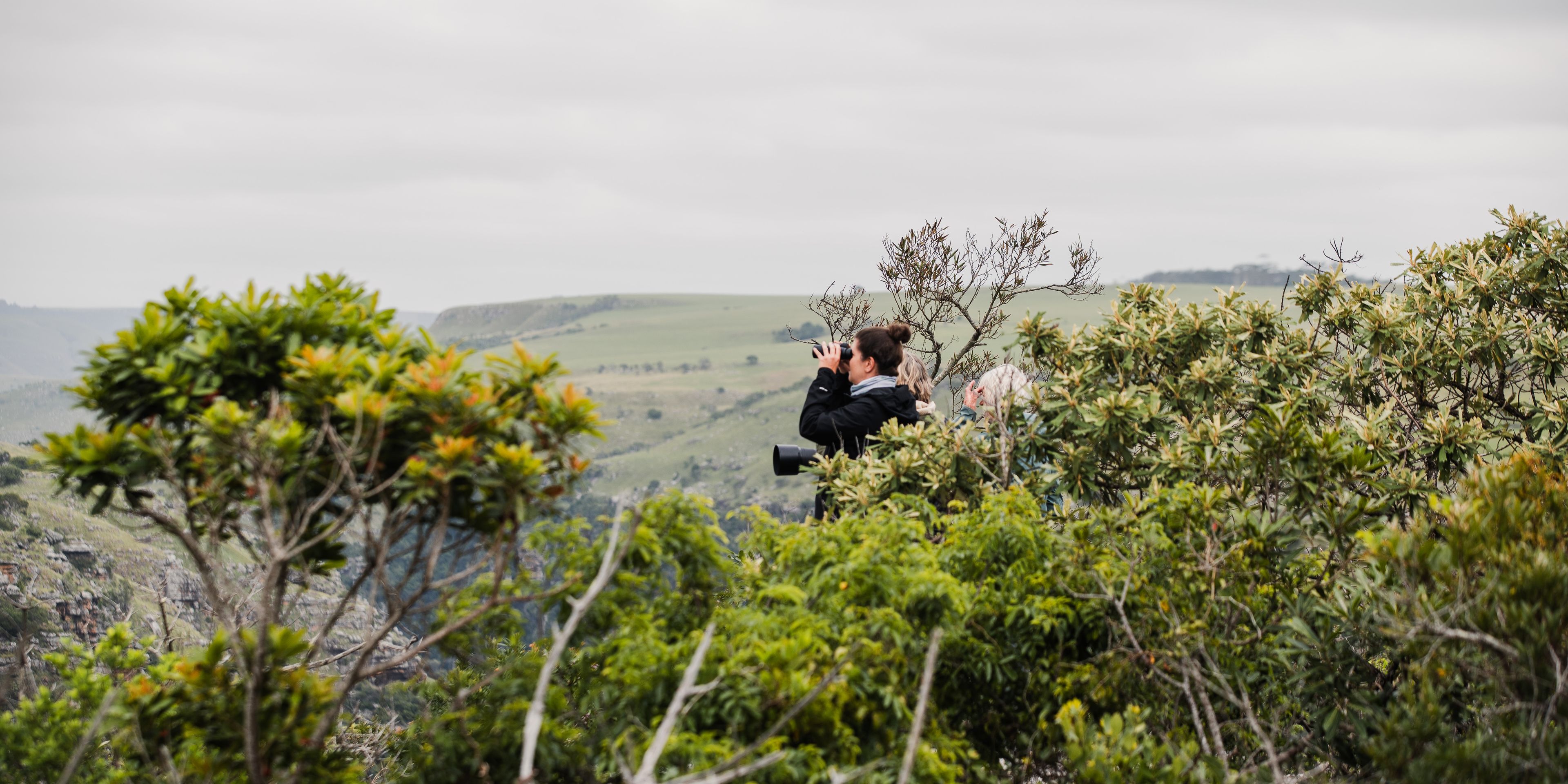 natucate-pwe-wild-coast-vulture-lookout