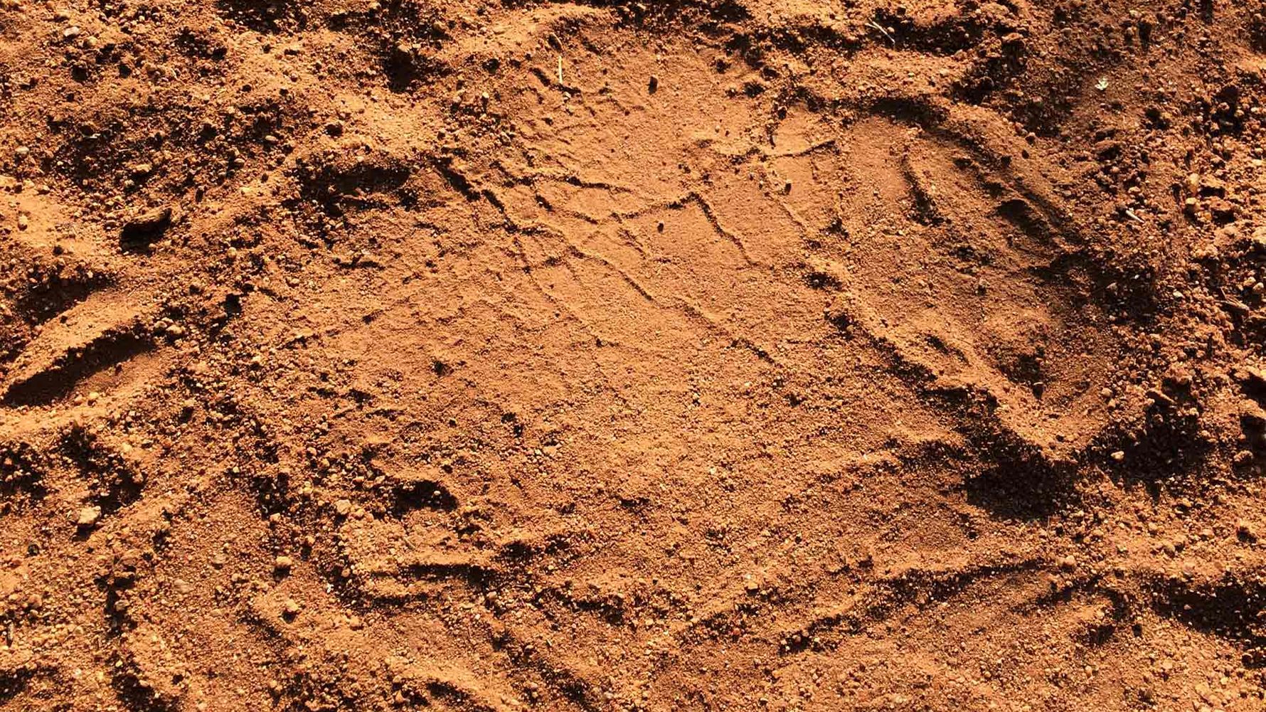 erfahrungsberichte-suedliches-afrika-pfg-rangerausbildung-spur-natucate