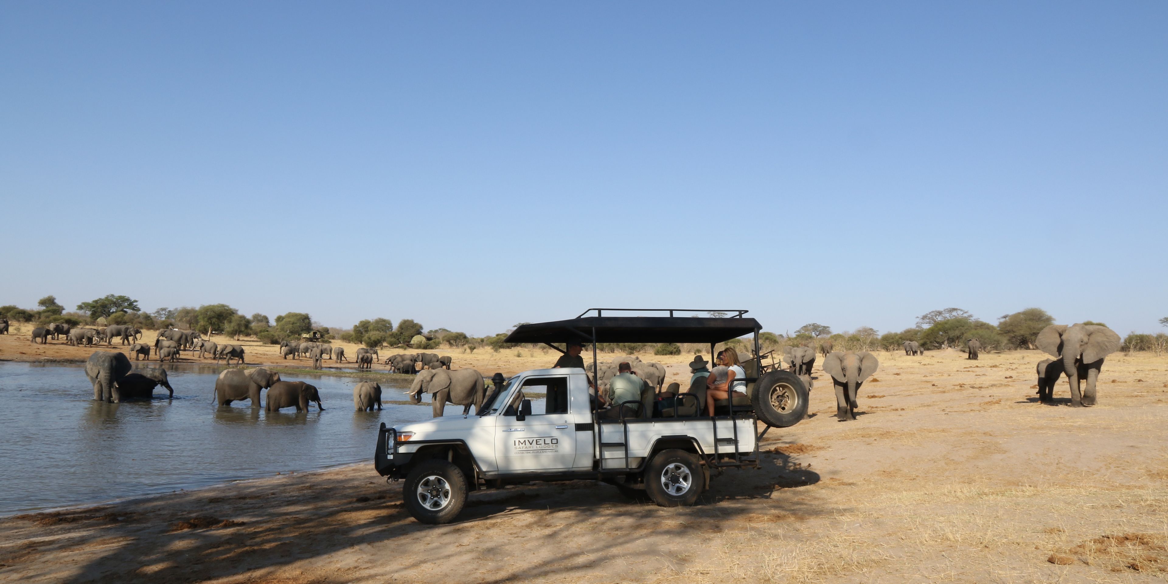 natucate-private-wilderness-experience-hwange-zimbabwe-game-drive-water-hole